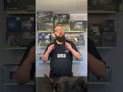 Crimson Desert Não Suporta Intel Arc: O Que Isso Significa?